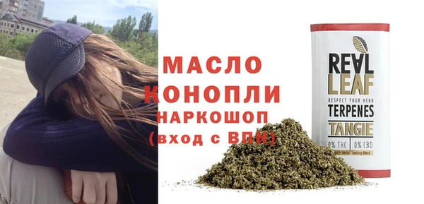 PSILOCYBIN Горно-Алтайск