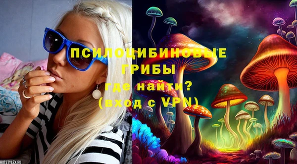 PSILOCYBIN Горно-Алтайск