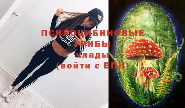 гидропоника Дедовск