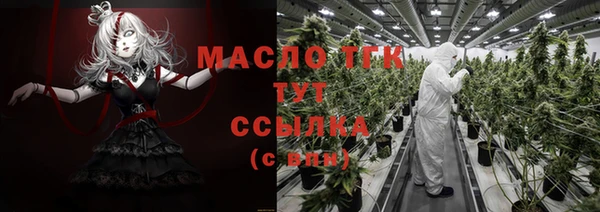 таблы Горняк