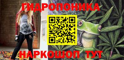 молекула духа Жуковский