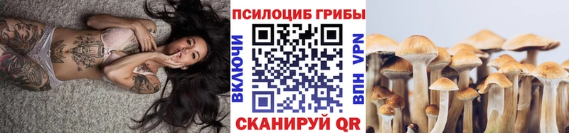 ОМГ ОМГ онион  закладки  Хабаровск  Псилоцибиновые грибы ЛСД 