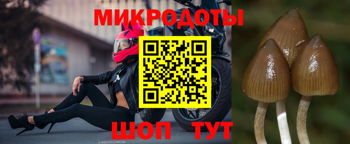 Хабаровск  Галлюциногенные грибы Cubensis  Вход с VPN 